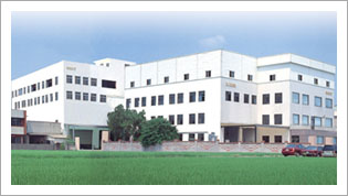 Buffalo Machinery Co., Ltd.